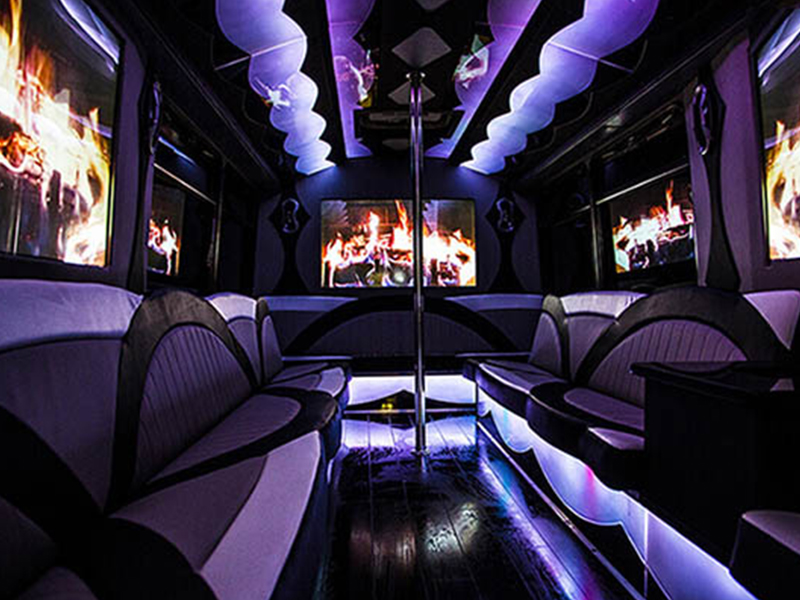 Leather seating